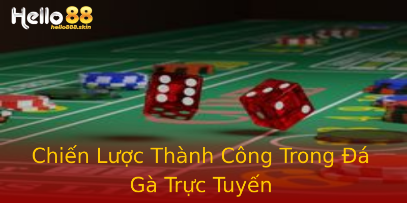 Chiến Lược Thành Công Trong Đá Gà Trực Tuyến Chiến Lược Thành Công Trong Đá Gà Trực Tuyến