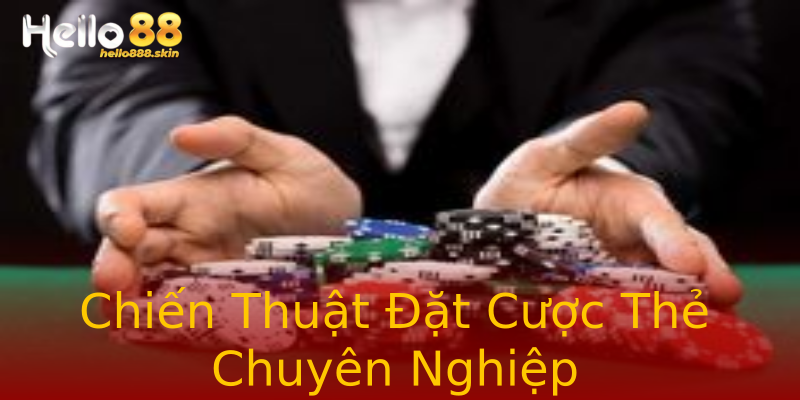 Chiến Thuật Đặt Cược Thẻ Chuyên Nghiệp Chiến Thuật Đặt Cược Thẻ Chuyên Nghiệp