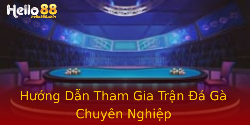 Hướng Dẫn Tham Gia Trận Đá Gà Chuyên Nghiệp Hướng Dẫn Tham Gia Trận Đá Gà Chuyên Nghiệp