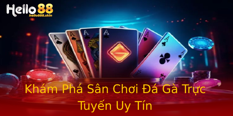 Khám Phá Sân Chơi Đá Gà Trực Tuyến Uy Tín Khám Phá Sân Chơi Đá Gà Trực Tuyến Uy Tín