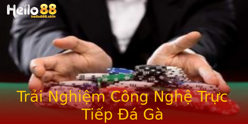 Trải Nghiệm Công Nghệ Trực Tiếp Đá Gà Trải Nghiệm Công Nghệ Trực Tiếp Đá Gà